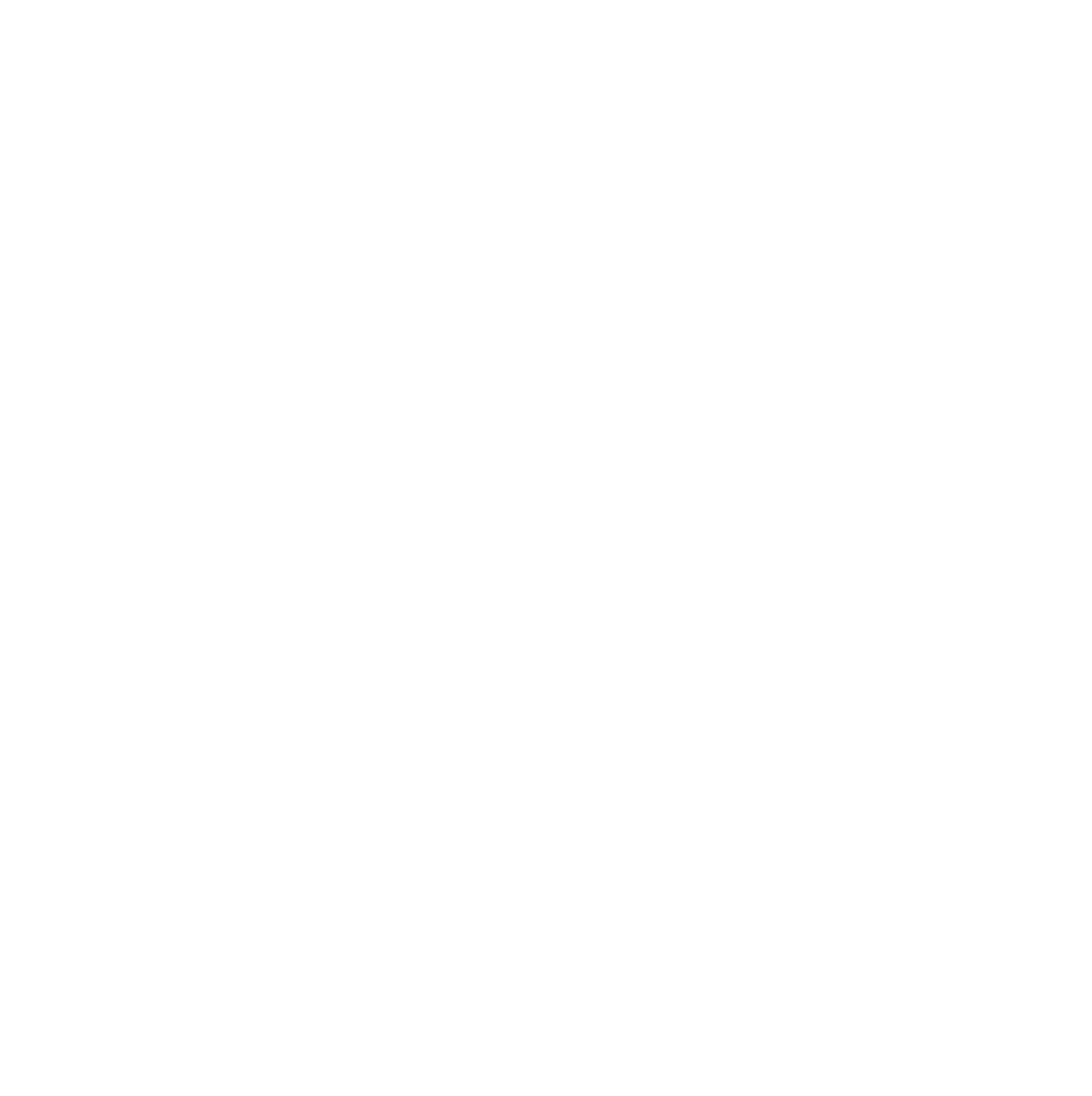 logo light